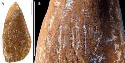  نئاندرتال‌ها با مداد شمعی عصر حجر نقاشی می‌کردند