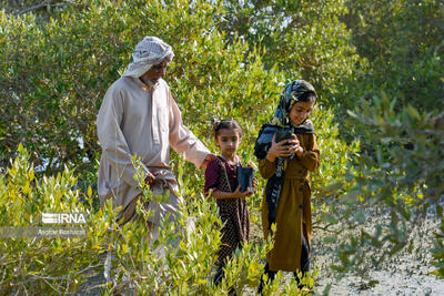  کاشت پنج هزار نهال حَرّا در روستای جهانی سهیلی جزیره قشم