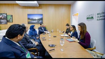  اعلام آمادگی ایران برای تبادل تجربیات و همکاری محیط زیستی با برزیل