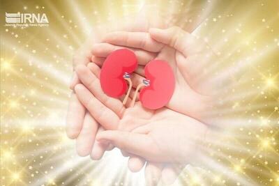  نوزدهمین اهدای عضو چهارمحال و بختیاری ثبت شد