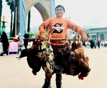   احیای سنتی دیرپا در شهرهولار برای رونق اقتصادی و اشتغال جوانان