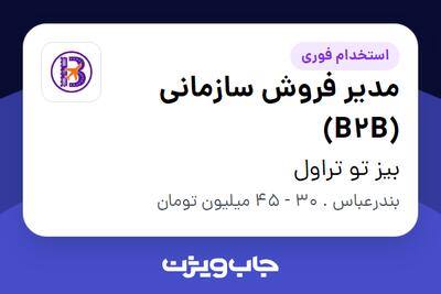  استخدام مدیر فروش سازمانی (B2B) در بیز تو تراول