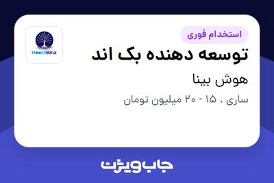  استخدام توسعه دهنده بک اند در هوش بینا