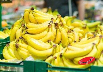  قیمت موز باید بسیار پایین تر باشد/ رانت واردات موز در قبال صادرات سیب - کلبه سرگرمی