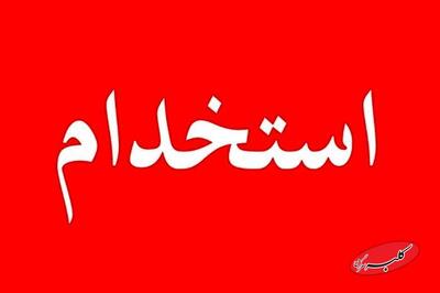  دفترچه ثبت‌نام آزمون سراسری شرکت کار و تامین اجتماعی ۱۴۰۴ منتشر شد + لینک دانلود - کلبه سرگرمی