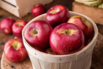  آیا خوردن سیب برای سلامت ما کافی است؟ - کلبه سرگرمی
