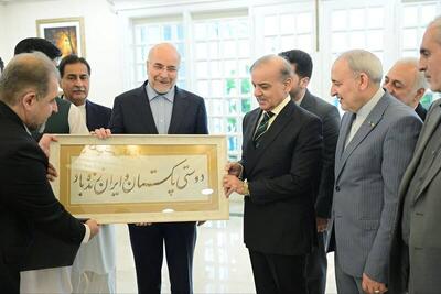  تاکید شهباز شریف بر نقش مهم ایران و پاکستان برای صلح جهانی+ فیلم
