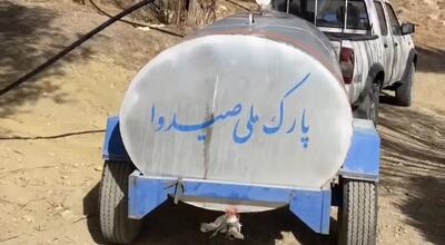  آبرسانی به آبشخورهای پارک ملی صیدوا مهدیشهر