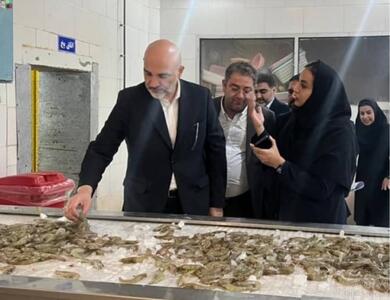  تاکید عظیمی پور بر اصلاح ساختار مالی، تنوع محورهای درآمدی و افزایش سودآوری