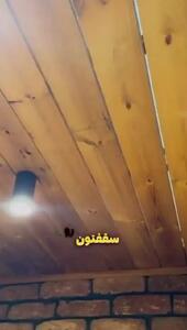  فیلم/ نگاهی به دکوراسیون پاسیویِ آپارتمان مجردی سانیا سالاری/  از سنتی کردن فضا با آجرهای قدیمی تا طاقچه‌هایی کوچک برای قرار دادن لوازم نقاشی و ...