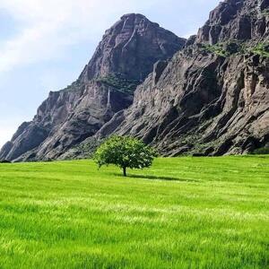  در کنار آبشار و جنگل دور از هیاهو