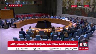  نماینده روسیه در سازمان ملل: قطعنامه امروز به سوریه کمک می‌کند تا در برابر اقدامات اشغالگرایانه اسرائیل مقابله کند/ اسرائیل بلندی‌های جولان که تحت حاکمیت سوریه بوده را اشغال کرده است