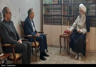  معاون وزیر امور خارجه با آیت‌الله مروی دیدار کرد - تسنیم