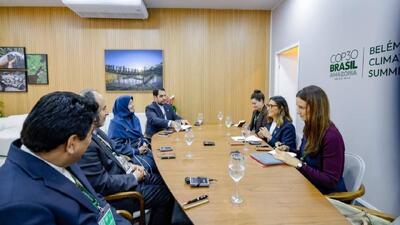 اعلام آمادگی ایران برای تبادل تجربیات و همکاری محیط زیستی با برزیل