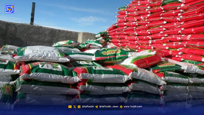  غذای فردای ما در دست این چند شرکت است