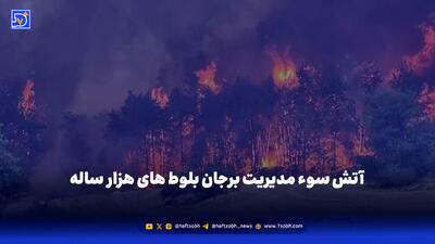  آتش سوء مدیریت برجان بلوط های هزار ساله