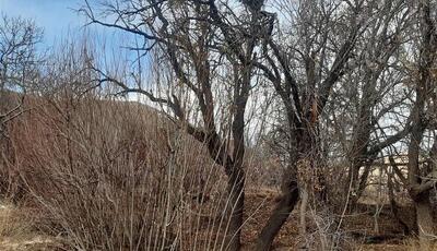  روستایی در ایران که فقط یک خانواده دارد!