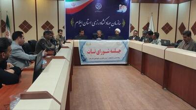  راه‌اندازی ۶ منطقه الگویی در ایلام، گامی نو در توسعه کشاورزی پایدار ایلام
