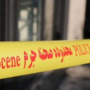  گره مرگ مشکوک 3 کودک بعد 5 سال باز شد؛ «شرکت سم‌پاشی» متهم ردیف اول!
