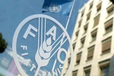  فائو از افت قیمت موادغذایی خبر داد