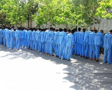  دستگیری۳۱۴ سارق حرفه‌ای و کشف ۴۴۹ فقره سرقت