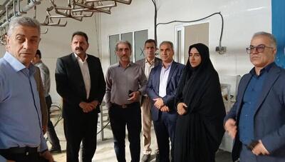  تاکید نماینده مجلس بر تسریع در اجرای سایت باغبانی ۲۰۰ هکتاری ایوان