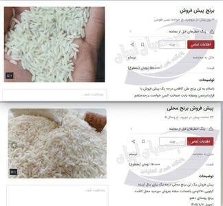  شیوه عجیب سرمایه گذاری در ایران / پیش فروش برنج از راه رسید!+عکس