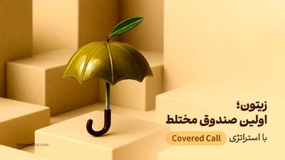  صندوق زیتون، اولین صندوق با استراتژی کاورد‌کال (Covered Call) و بازدهی ۳۸ تا ۴۲ درصدی