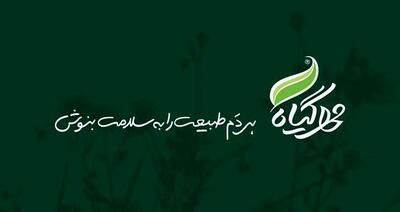  بازگشت به خرد طبیعت