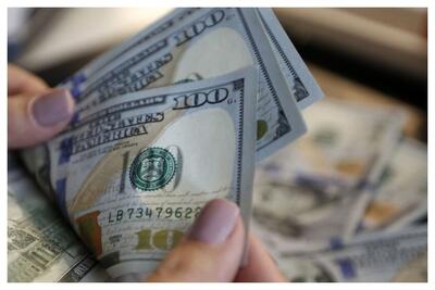  تعیین سقف برای اختصاص ارز به بازرگانان/ علت چیست؟