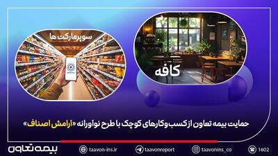  حمایت بیمه تعاون از کسب‌وکار‌های کوچک با طرح نوآورانه «آرامش اصناف» | اقتصاد24