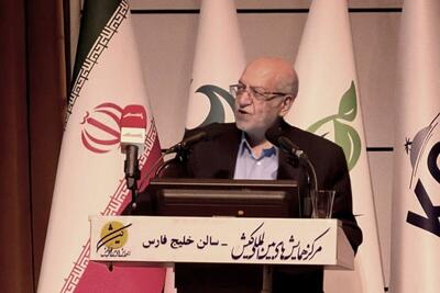 پارس جنوبی تأمین‌کننده ۶۰ درصد گاز کشور است / ظرفیت‌های عظیم در میادین گازی مغفول مانده‌اند