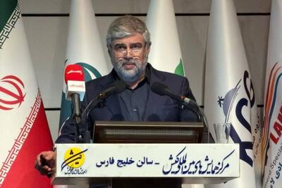  توسعه اقتصاد دریا محور از محور‌های اصلی برنامه هفتم است / ایزواکو تنها شرکت دولتی دریایی کشور