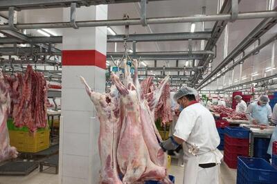  قیمت گوشت امروز ۱۷ آبان ۱۴۰۴