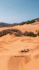 نظر رهبر انقلاب درباره مجسمه زانو زدن والرین در برابر پادشاه ایران