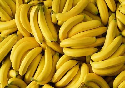  موز هندی و اکوادور با چه قیمتی وارد می شود؟  | قیمت موز وارداتی باید بسیار پایین‌تر باشد؛ رانت واردات موز در قبال صادرات سیب وضعیت بازار را پیچیده کرد