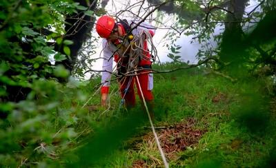  سقوط پاراگلایدر در سوردار نور؛ یک نفر مصدوم شد