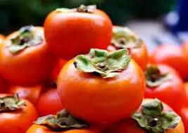  خرمالو؛ میوه‌ای شیرین اما پرخطر