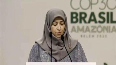  ایران با وجود تحریم‌ها به تعهدات اقلیمی خود پایبند است
