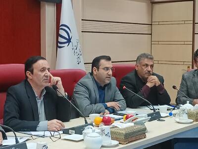  رییس سازمان فنی و حرفه‌ای: نیمی از کارجویان ایرانی فاقد مهارت هستند