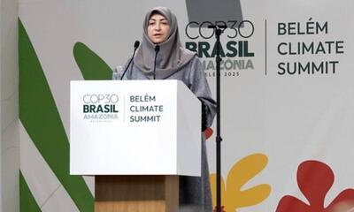  ایران با وجود تحریم‌ها به تعهدات اقلیمی خود پایبند است/کاهش۱۰ میلیارد مترمکعب گازگلخانه‌ای