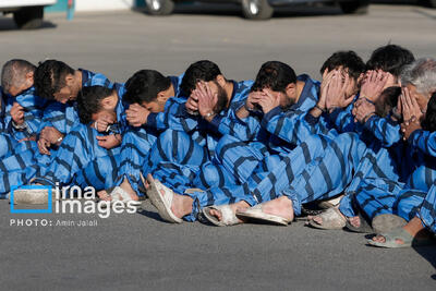  ۳۱۴ سارق حرفه‌ای منازل دستگیر شدند