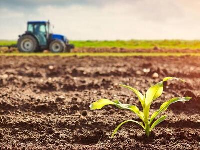  اصلاح الگوی کشت ضرورتی اجتناب ناپذیر