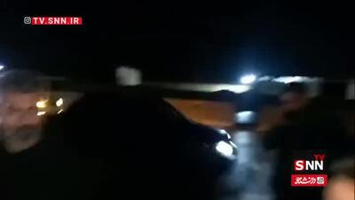  تصادف یک قلاده خرس قهوه‌ای در کرمانشاه
