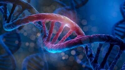  بازگشت حافظه با CRISPR؛ اصلاح تغییرات مولکولی مغز امید تازه‌ای ایجاد کرد
