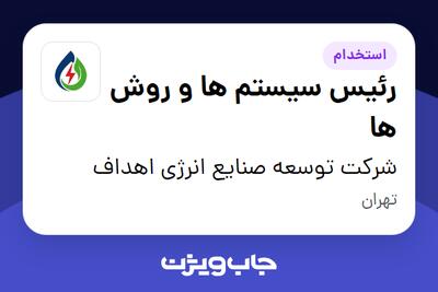  استخدام رئیس سیستم ها و روش ها در شرکت توسعه صنایع انرژی اهداف