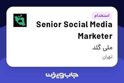  استخدام Senior Social Media Marketer در ملی گلد