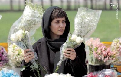  فیلم «زن و بچه» در مقایسه با ۲ ساخته روستایی  مخاطبان کمتری داشته است
