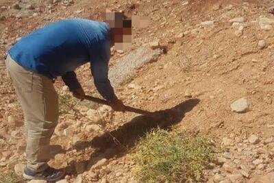  صدور رأی سبز دادگاه در یاسوج؛ کاشت بوته و گیاه به جای حبس برای متهمان