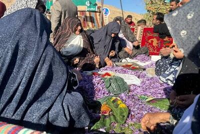  برگزاری جشن شکرگزاری برداشت زعفران در روستای گردشگری مهوید